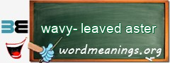 WordMeaning blackboard for wavy-leaved aster